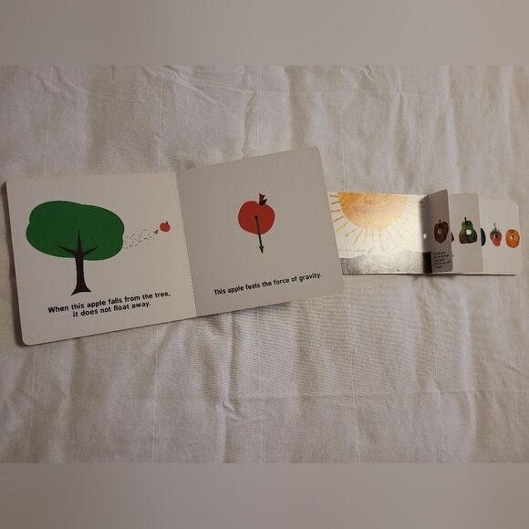 Cardboard books - Picture 2 of 3